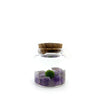 Amethyst Moss Rico Pet Plant