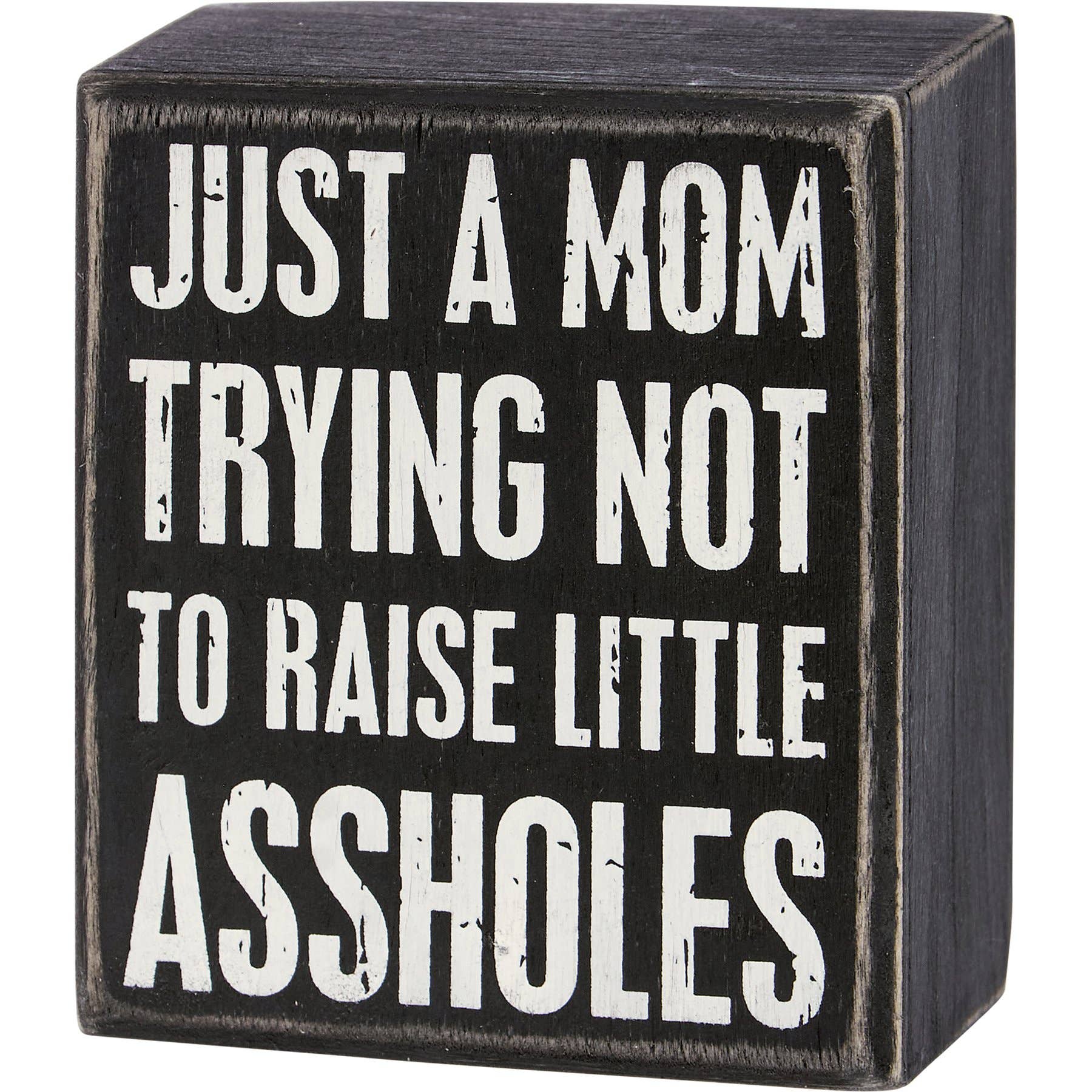 Trying Not To Raise Little Assholes Box Sign