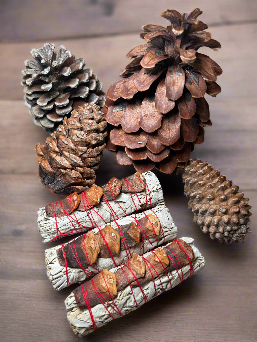 Pine Cone White Sage Bundle