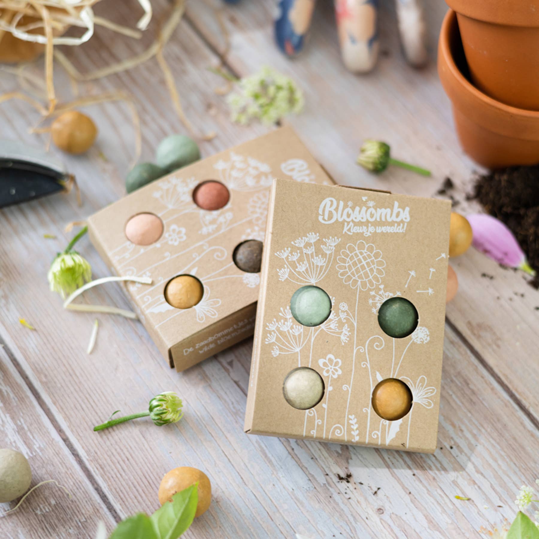 Mini Wildflower Seed Box | Seed Bombs Pollinator Mix