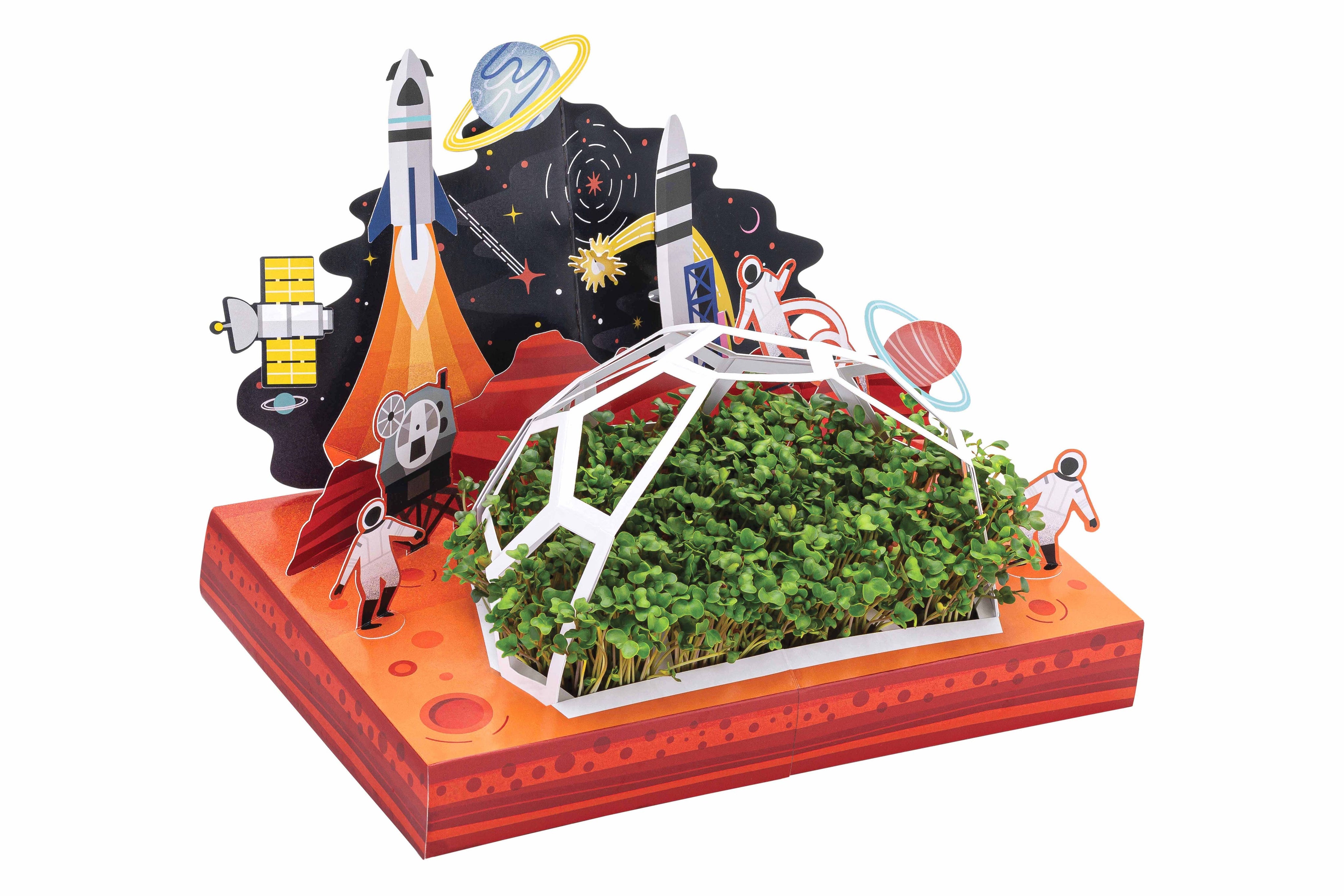 Microgreens DIY Kit: Out of this World