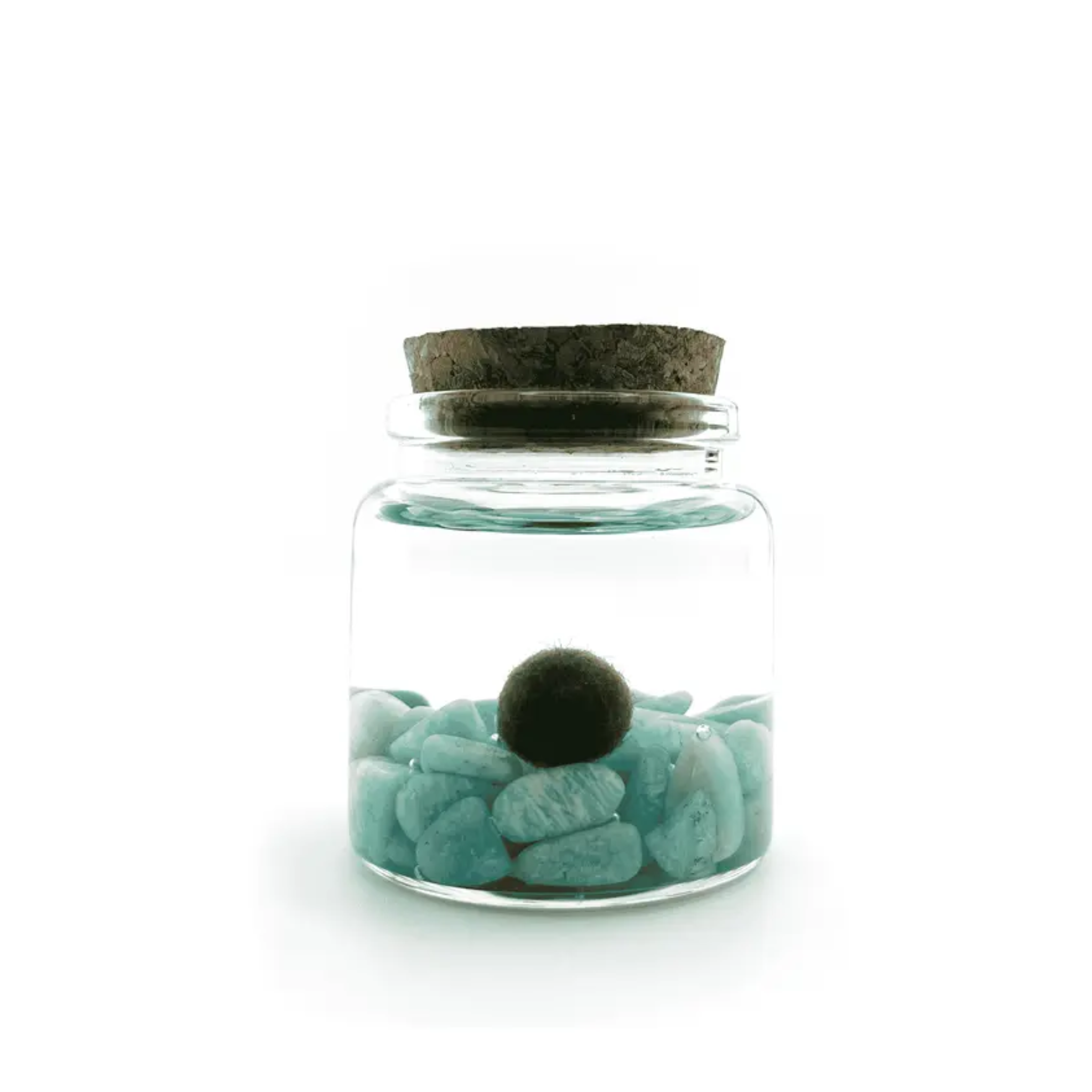 Moss Amigo Pet Plant - Rico Size with Amazonite