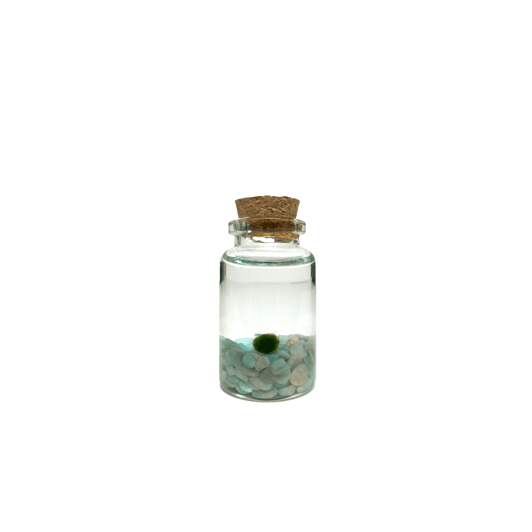 amazonite-nino.png