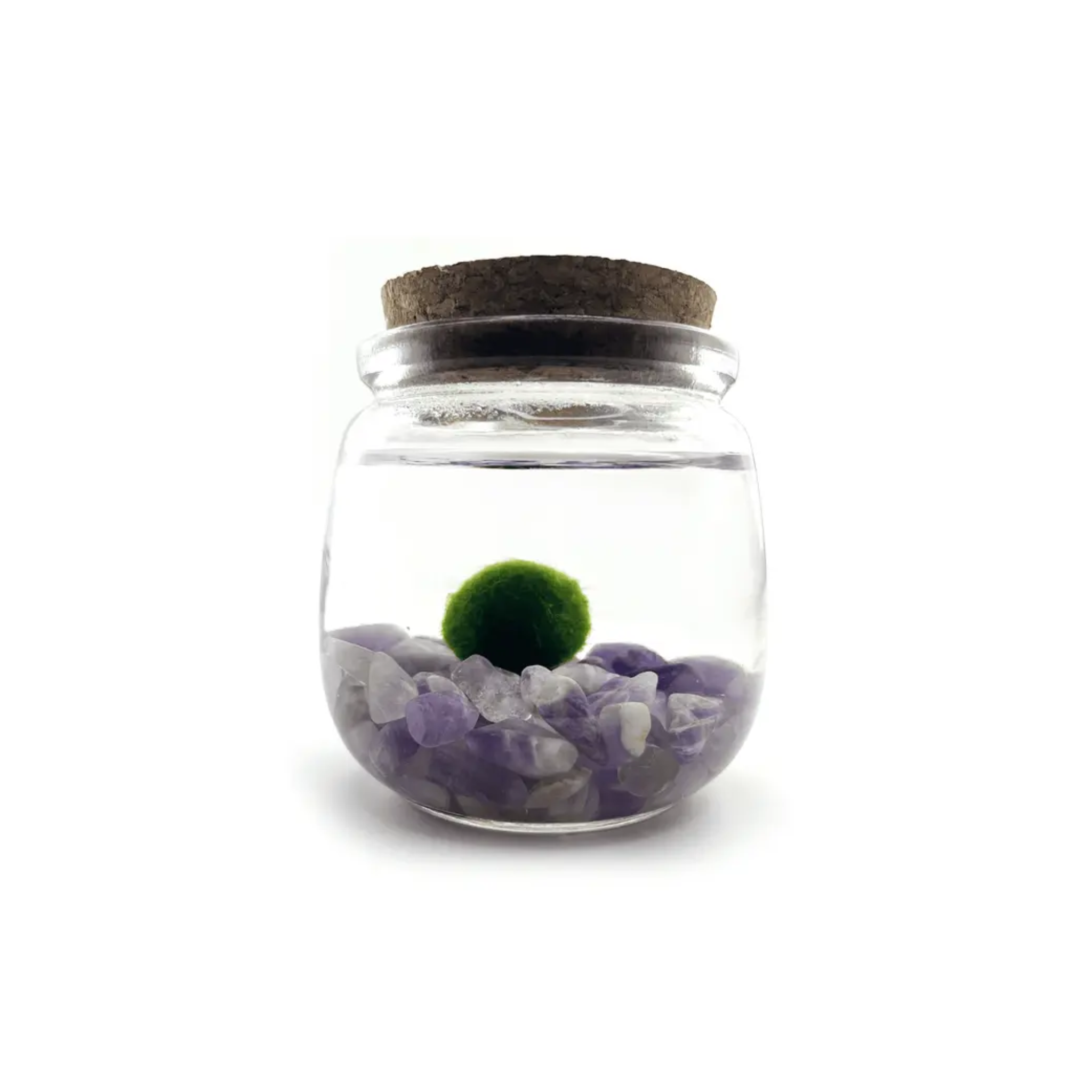 amethyst-moss-amigo-chico.png