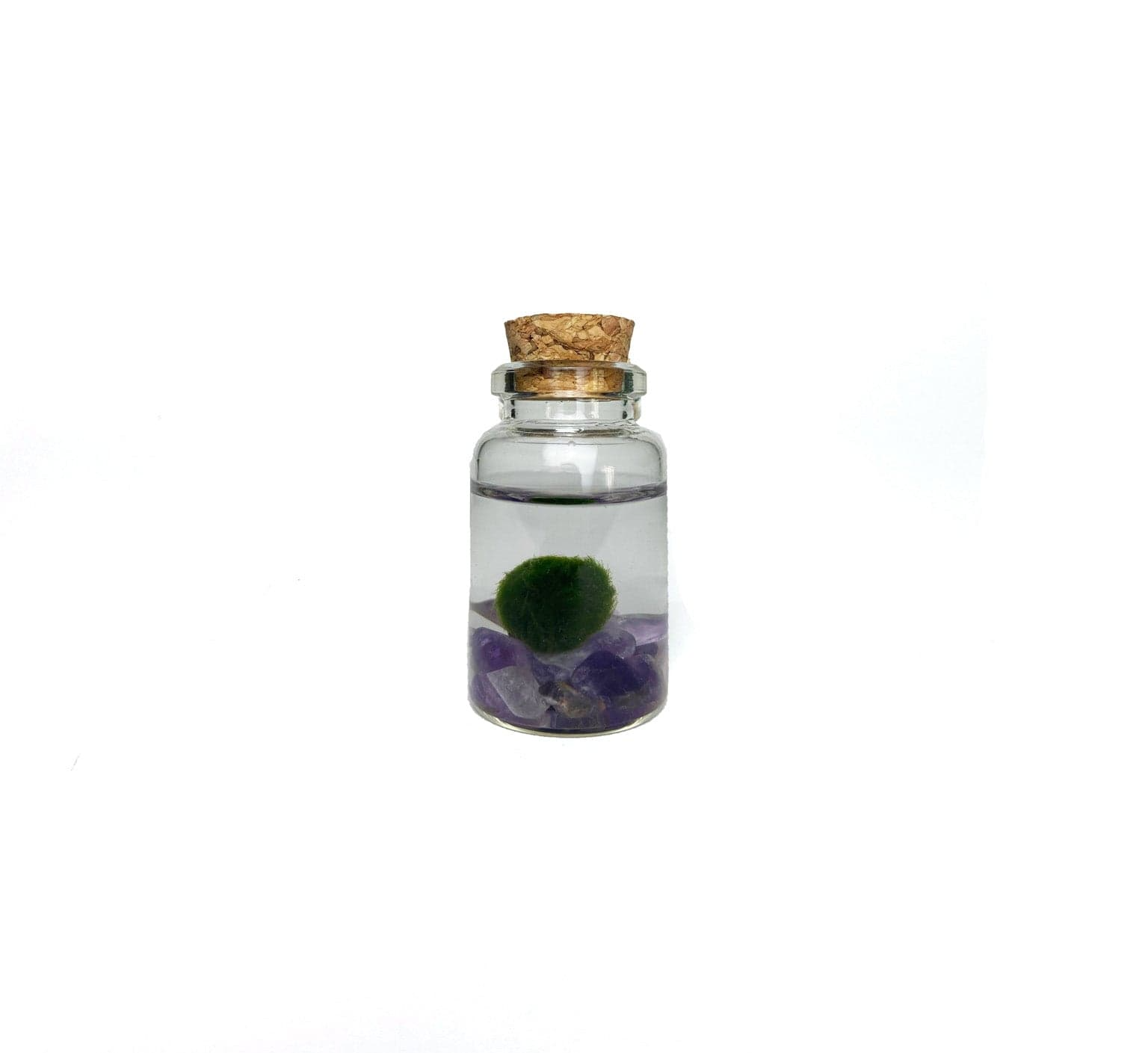 amethyst-nino.png