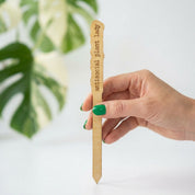 Wood Plant Stakes with Personality