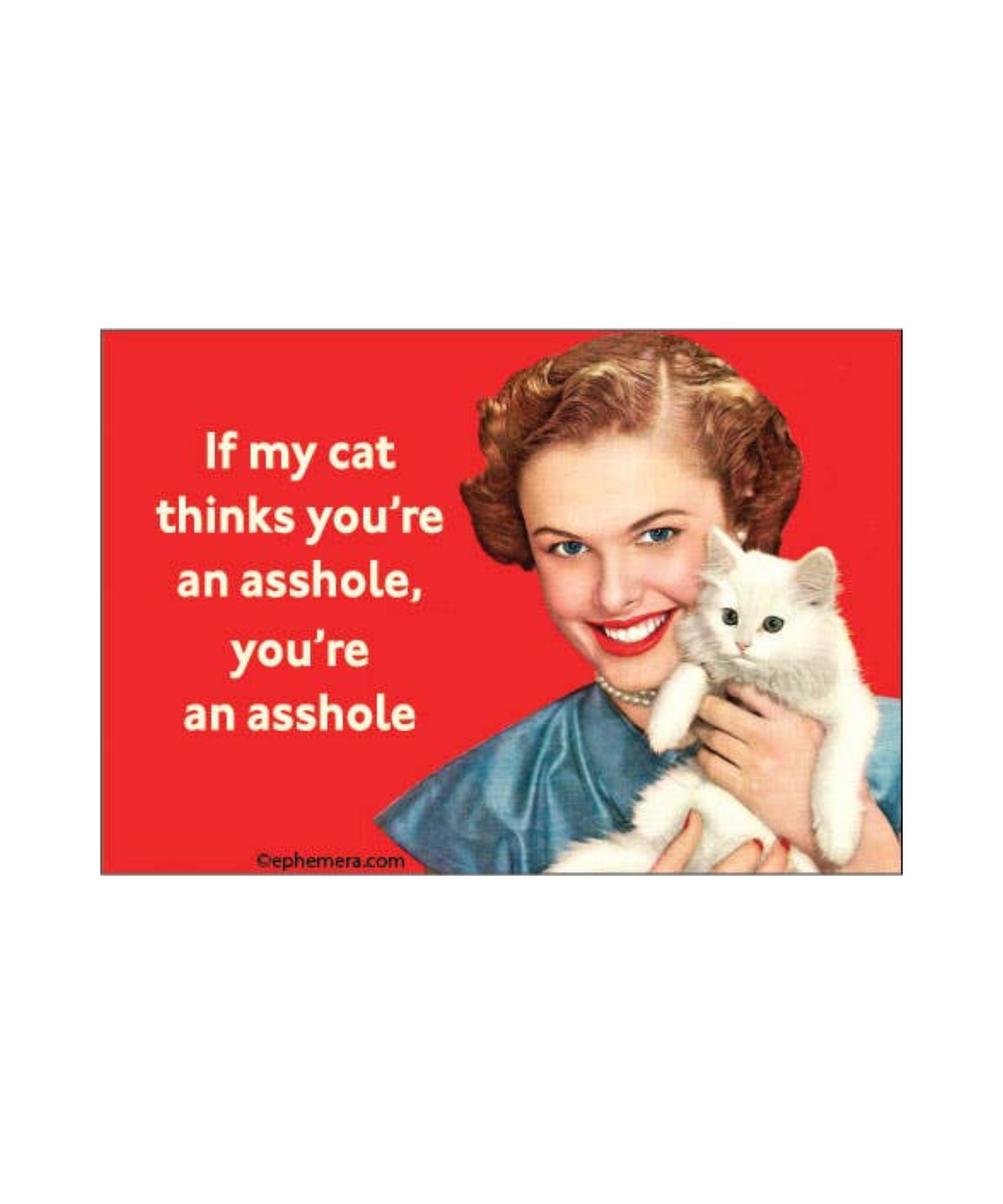 asshole-cat-magnet.png