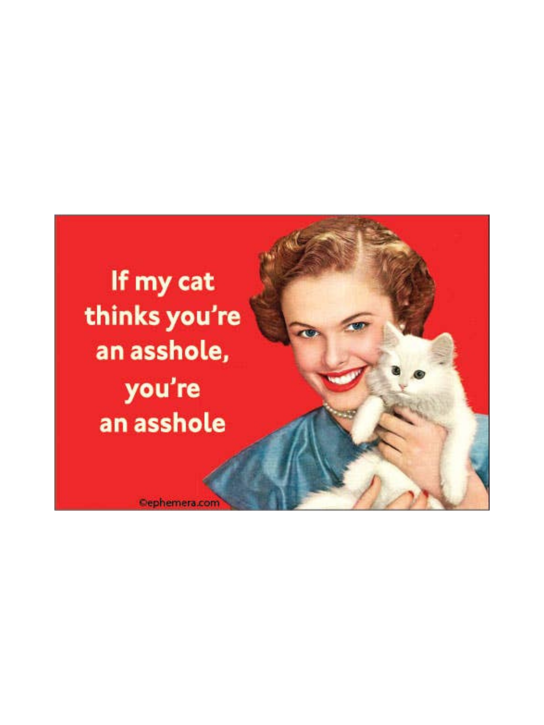 “If My Cat Thinks You’re an Asshole” Funny Retro Cat Magnet