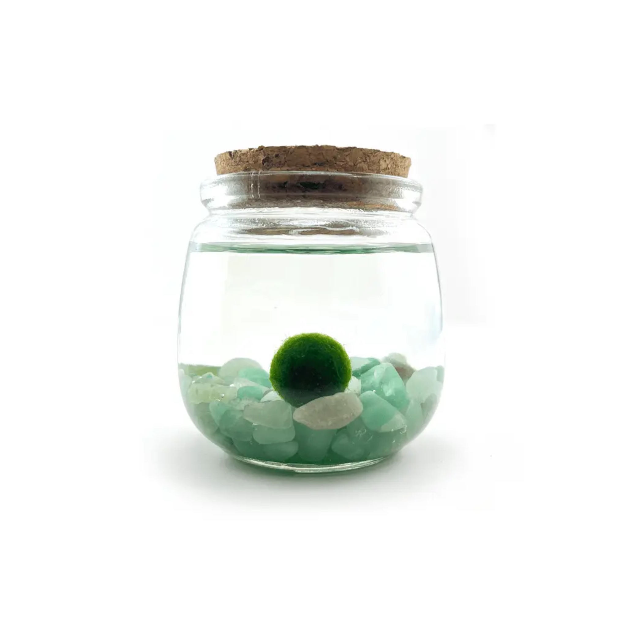 aventurine-moss-amigo-chico.png