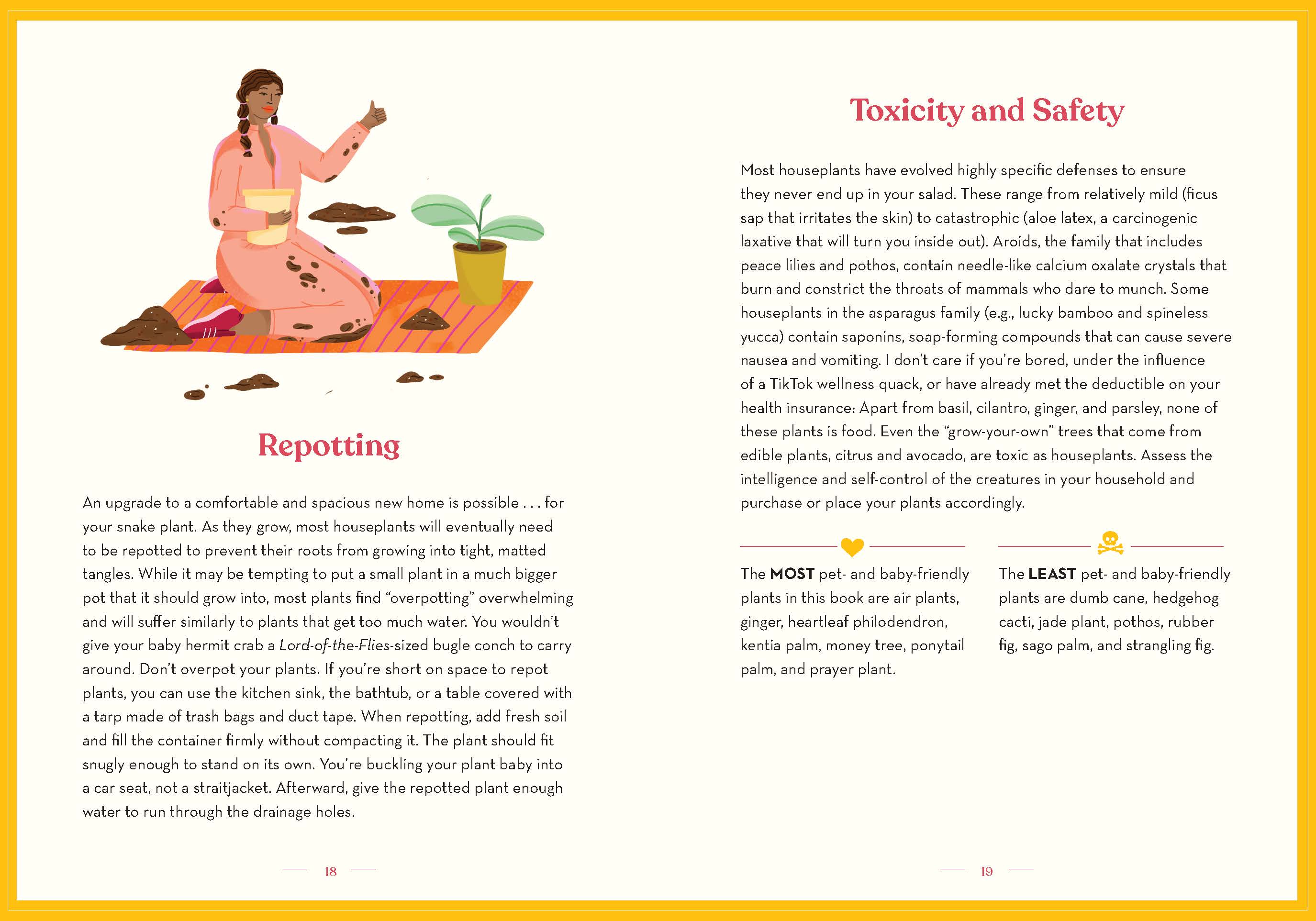 The Green Dumb Guide to Houseplants – Easy, Hard-to-Kill Plants for Beginners