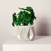 Origami Self-Watering Pot Ivory White