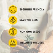 Wild Jungle of Chia Pop-Up Garden Grow Kit