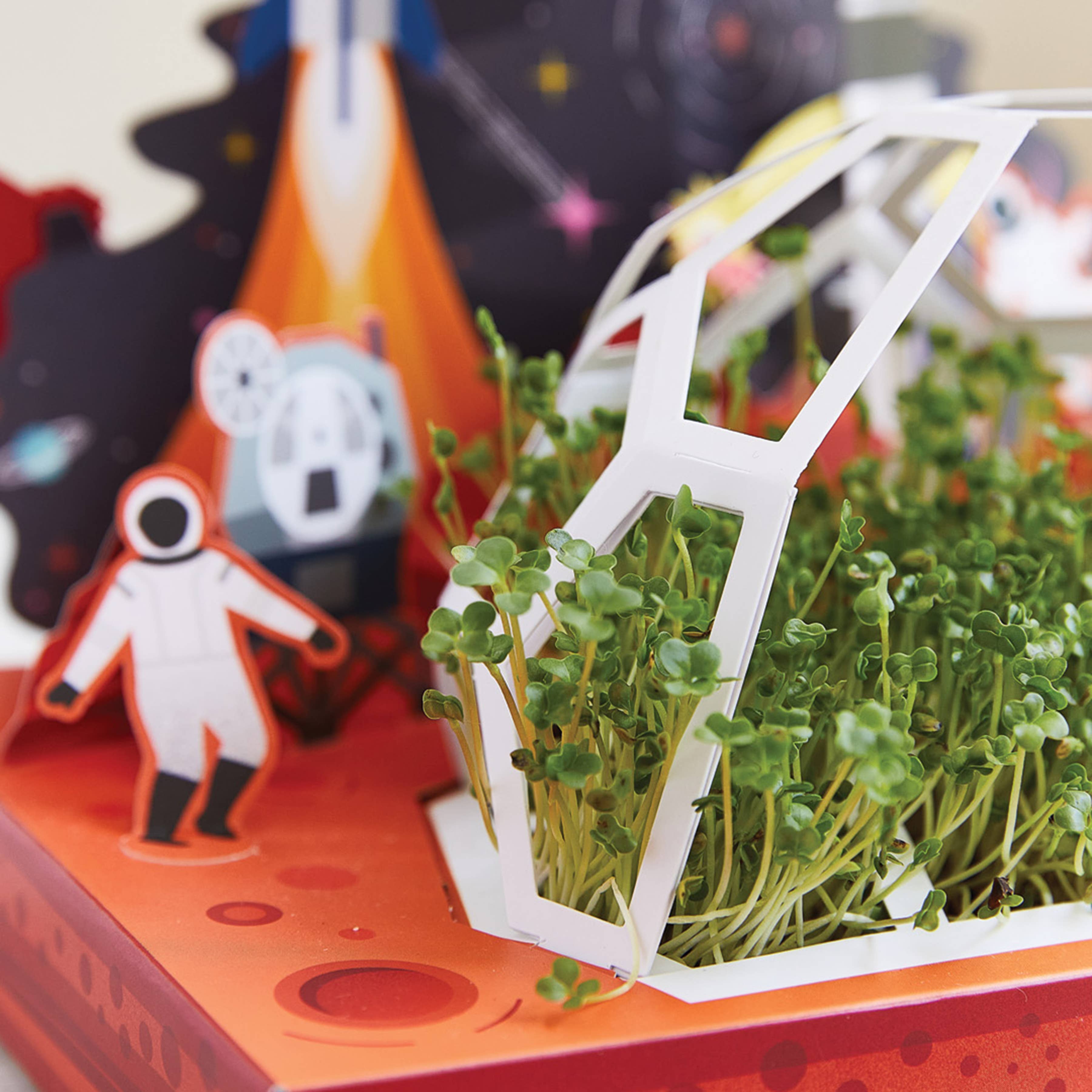 Microgreens DIY Kit: Out of this World