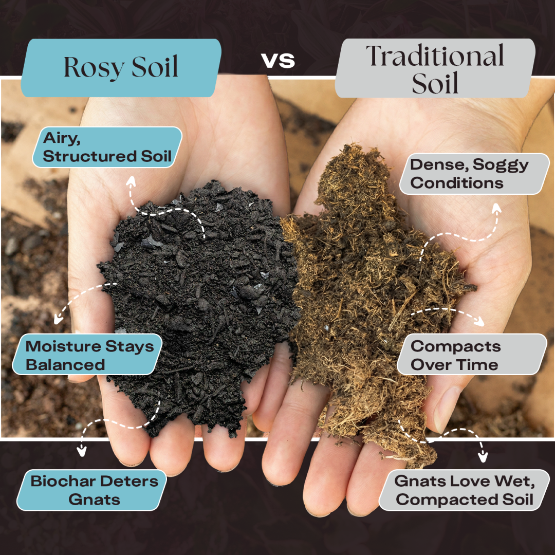 Rosy Soil Organic Indoor Potting Soil – Peat-Free Houseplant Soil, 4 Qt
