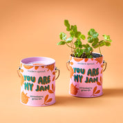Strawberry Grow Kit 'You are My Jam'