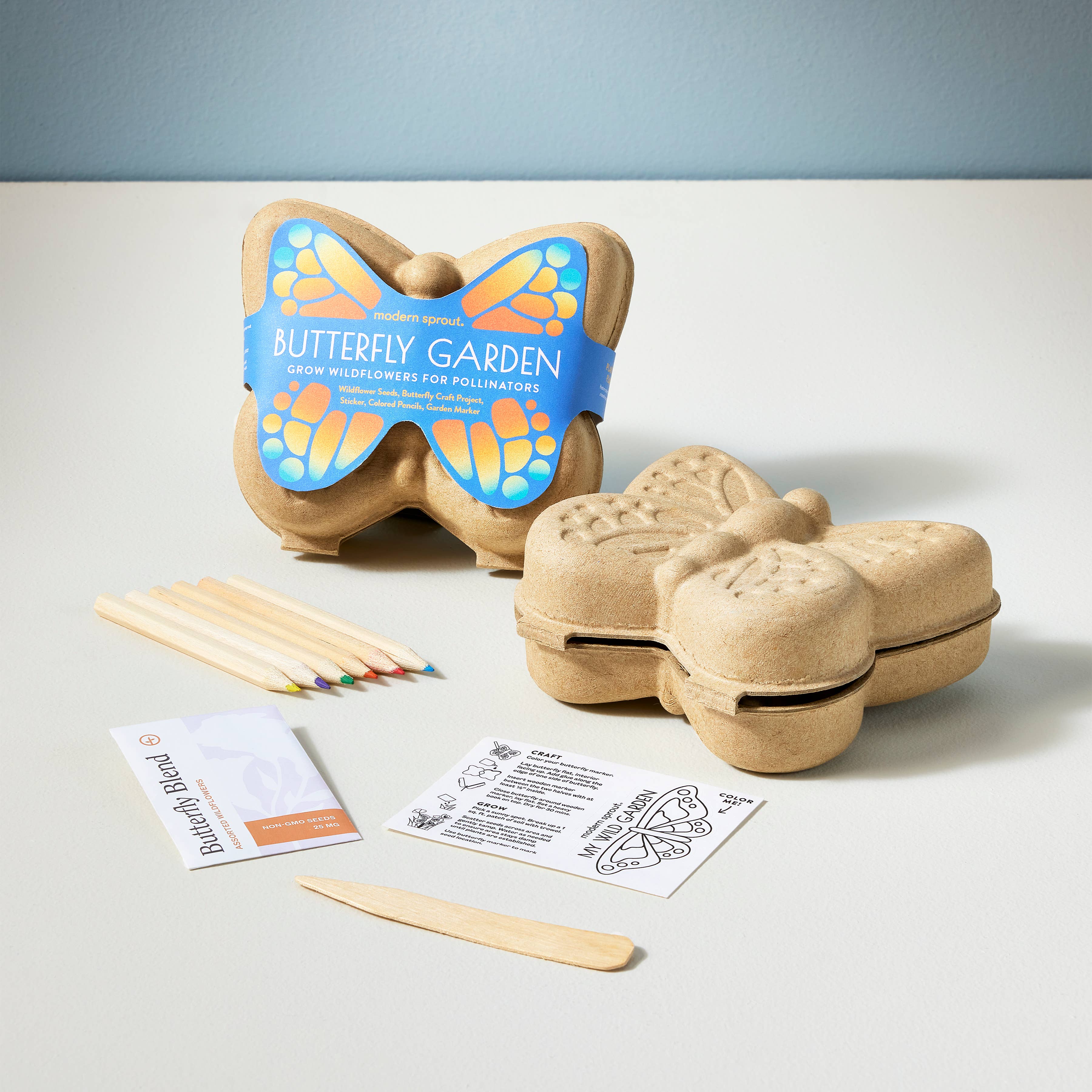 Curious Critter Garden Activity Kit: Ladybug