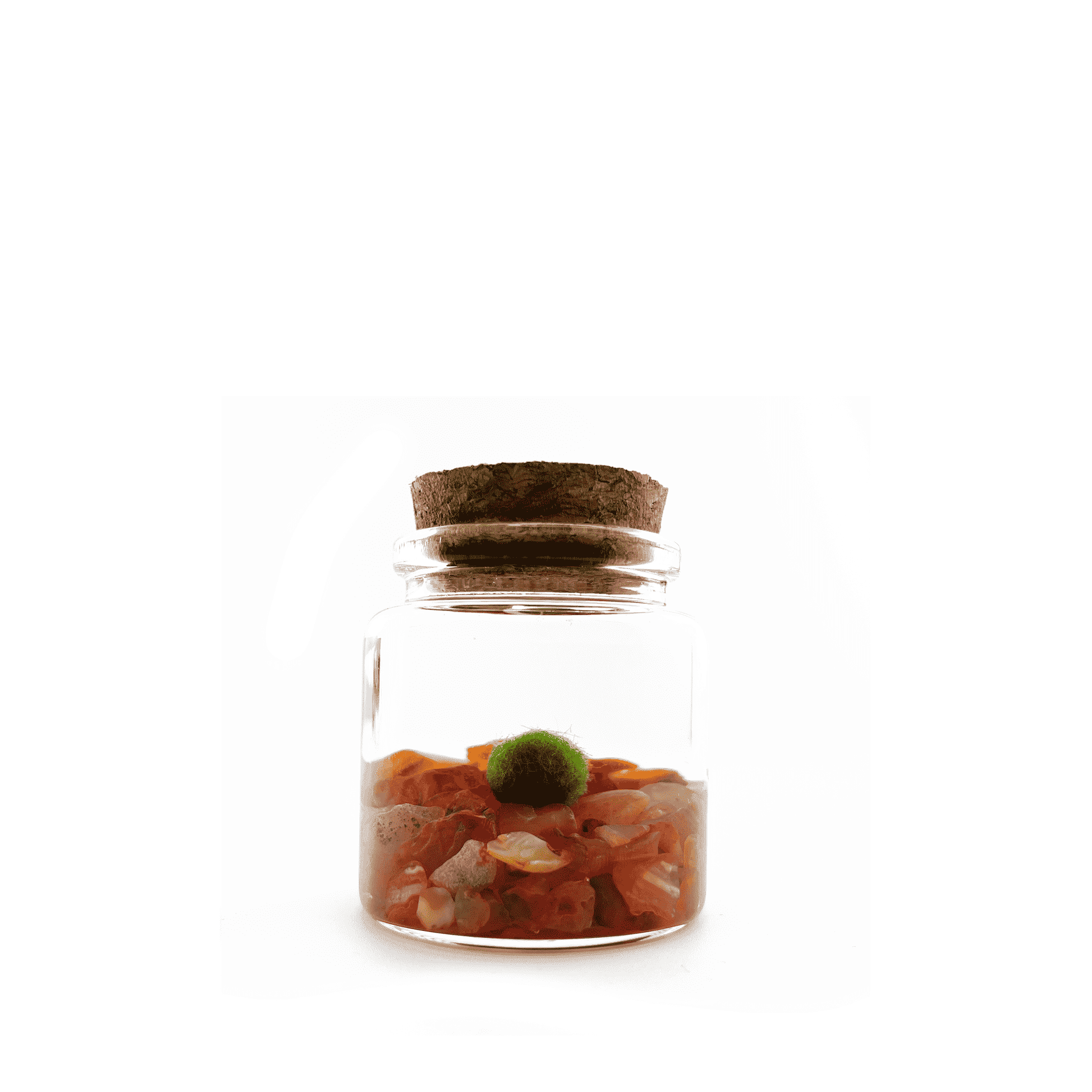 carnelian-rico.png