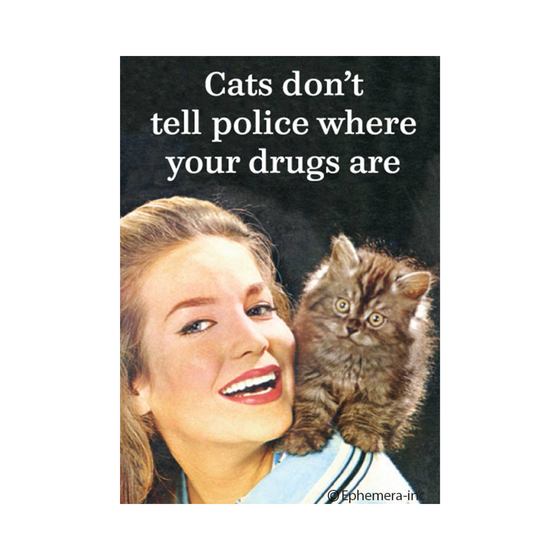 Cats Don't Tell Police Magnet
