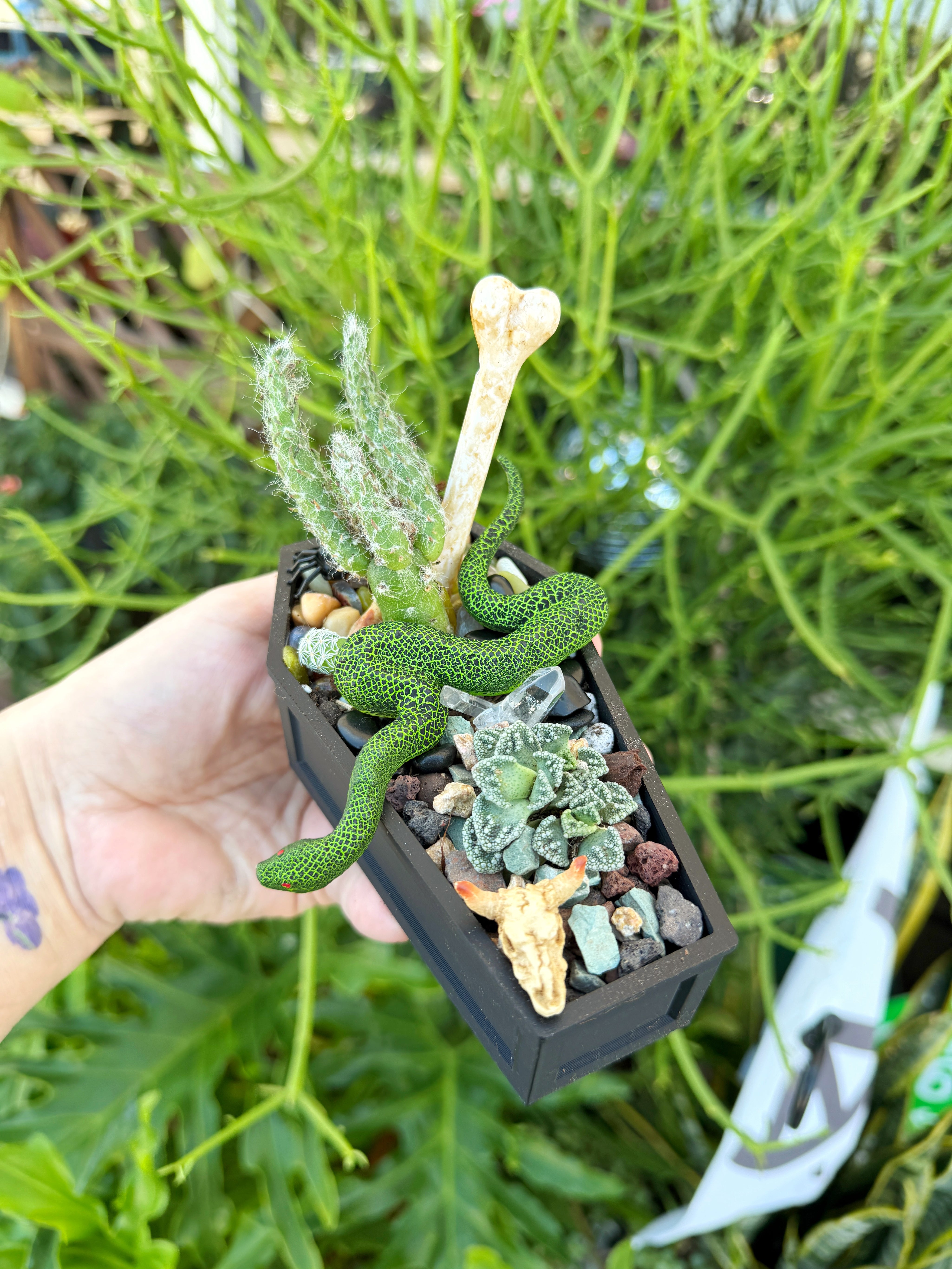 Pre-Book Your Mini Coffin Garden – October 18