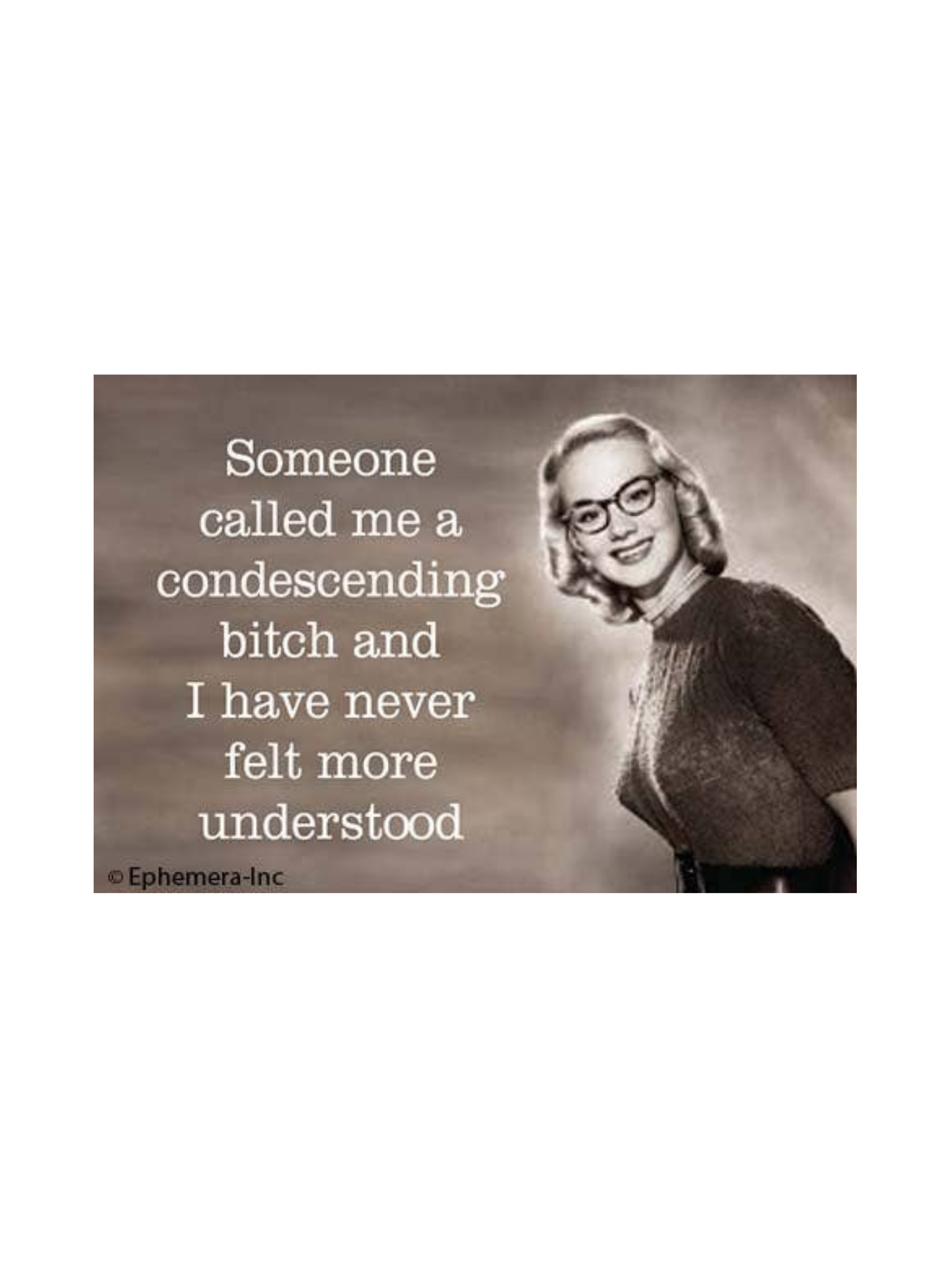 Someone Called Me a Condescending Bitch Funny Magnet