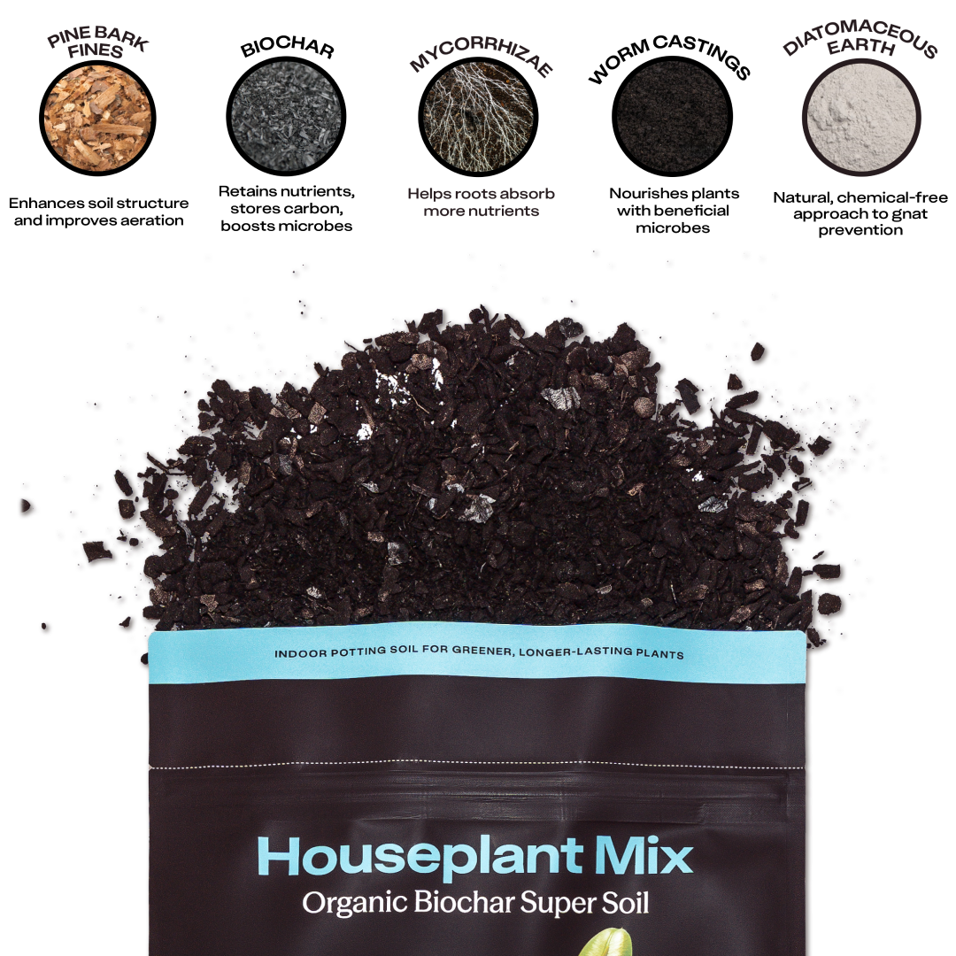 Rosy Soil Organic Indoor Potting Soil – Peat-Free Houseplant Soil, 4 Qt