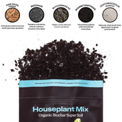 Rosy Soil Organic Indoor Potting Soil – Peat-Free Houseplant Soil, 4 Qt