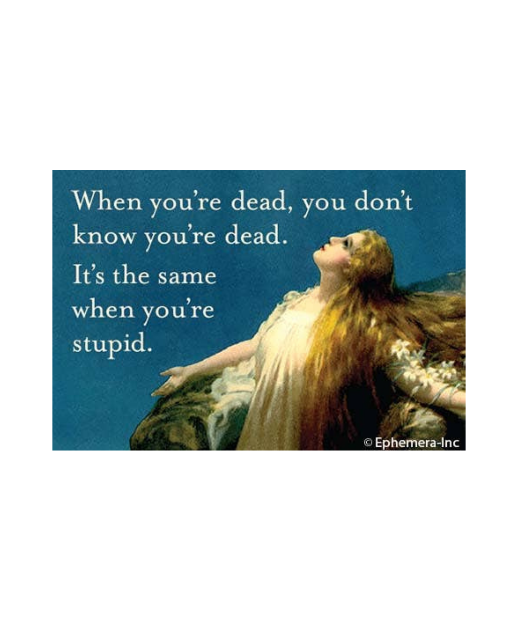 dead-stupid-magnet.png