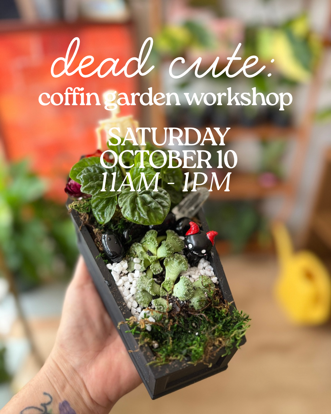 Dead Cute: Coffin Garden Workshop