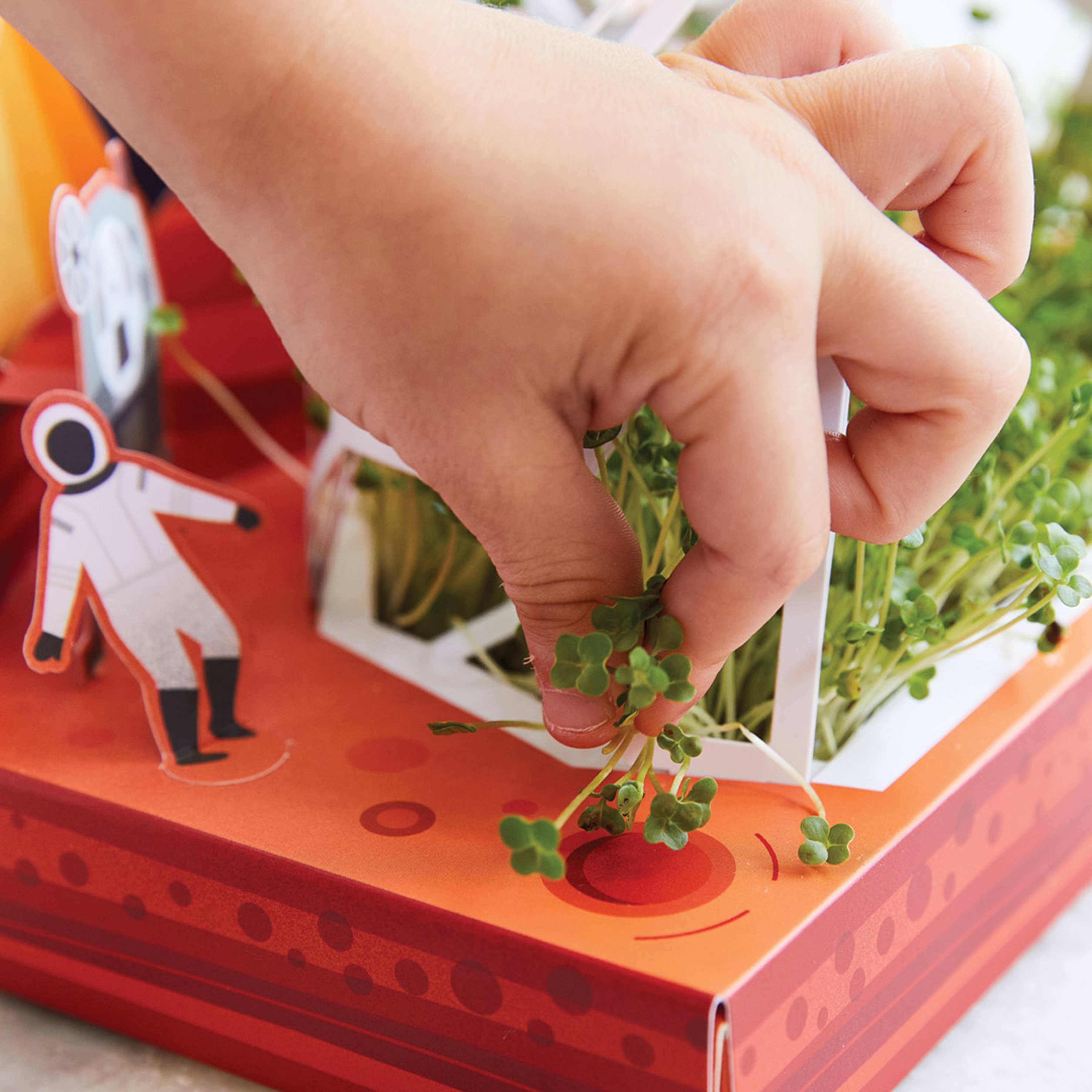 Microgreens DIY Kit: Out of this World