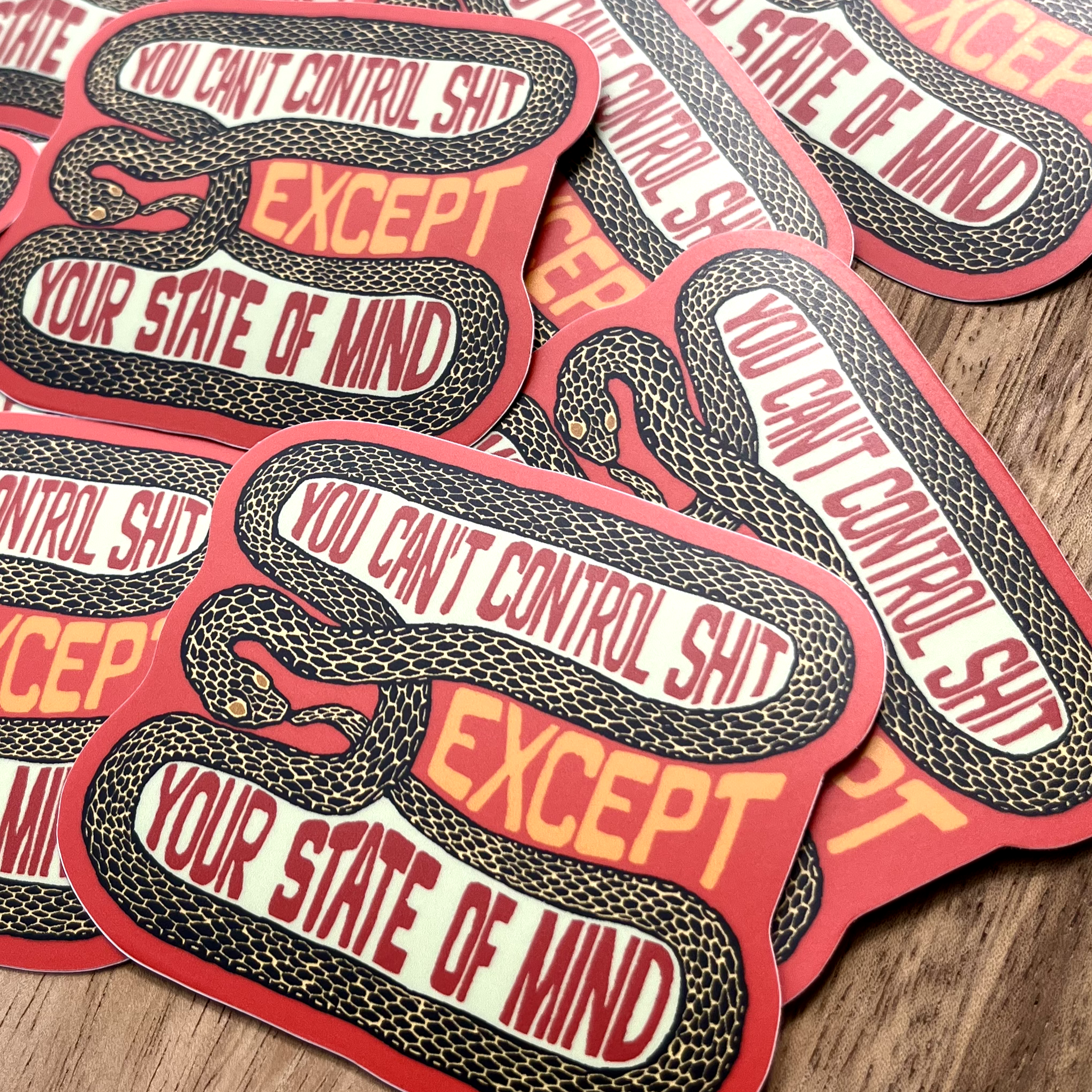 You Can’t Control Shit Snake Sticker
