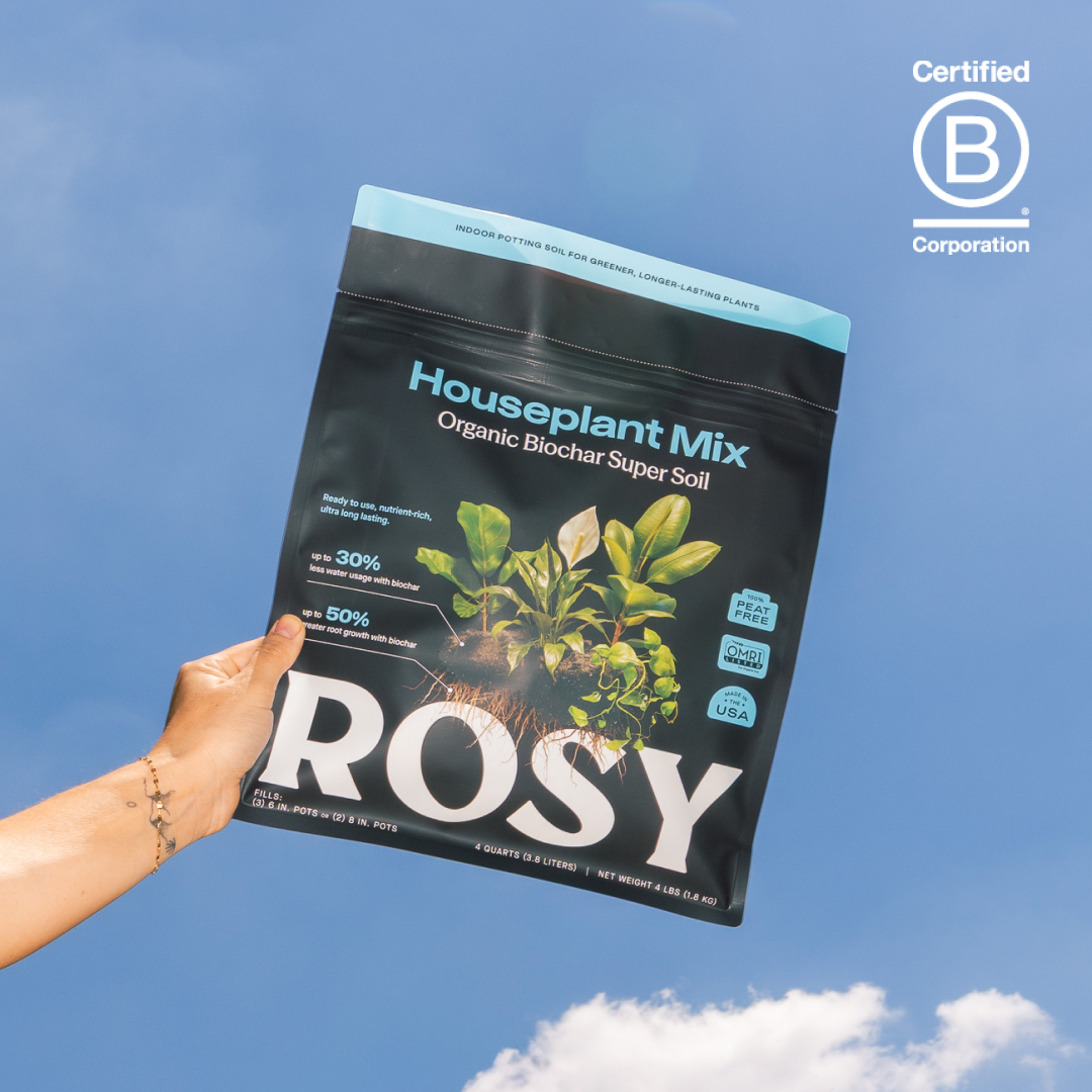 Rosy Soil Organic Indoor Potting Soil – Peat-Free Houseplant Soil, 4 Qt