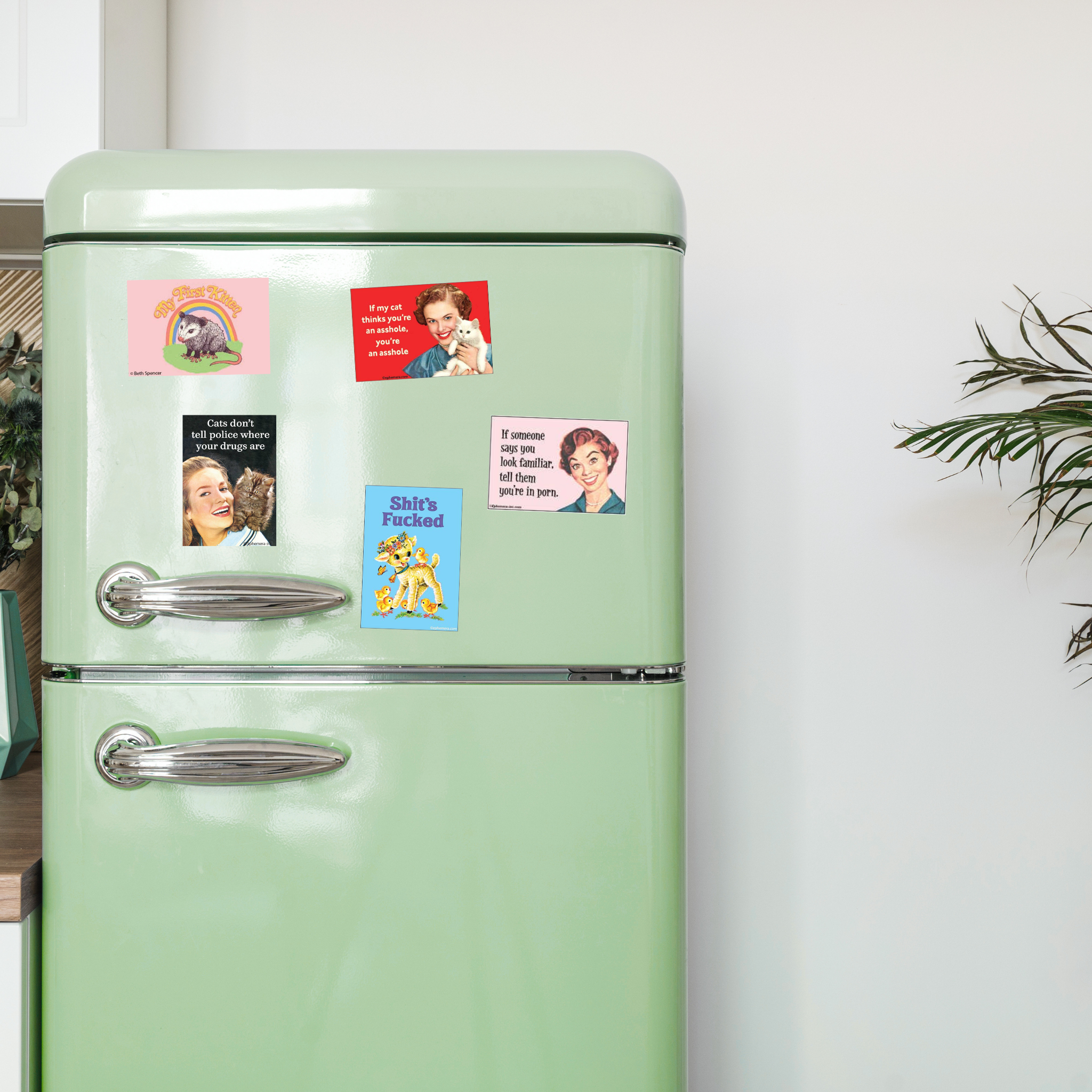 ephemera-magnets-on-fridge.png