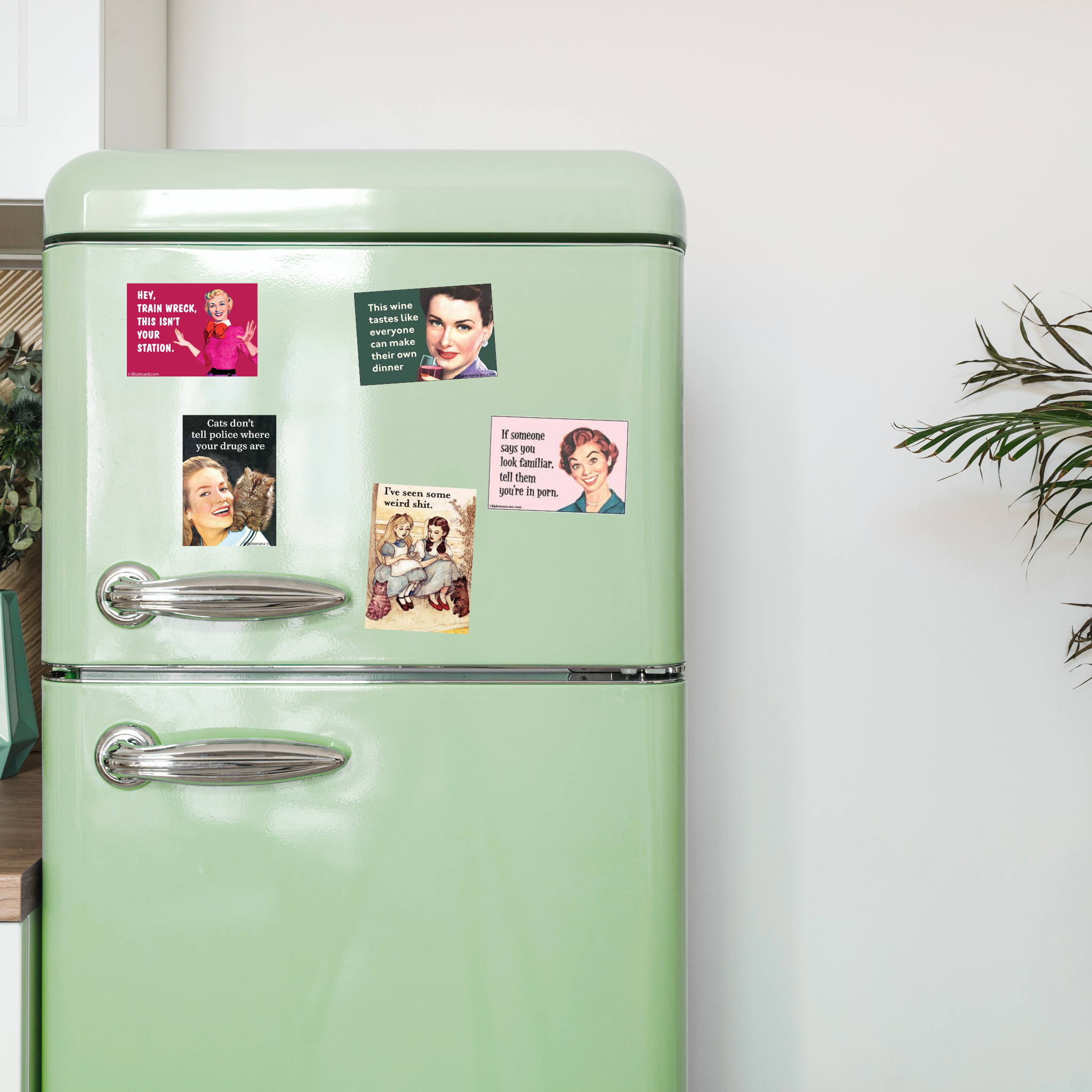 ephemera-magnets-on-fridge_715fe107-cafc-4b96-b4a7-d5cdaa6fc167.png