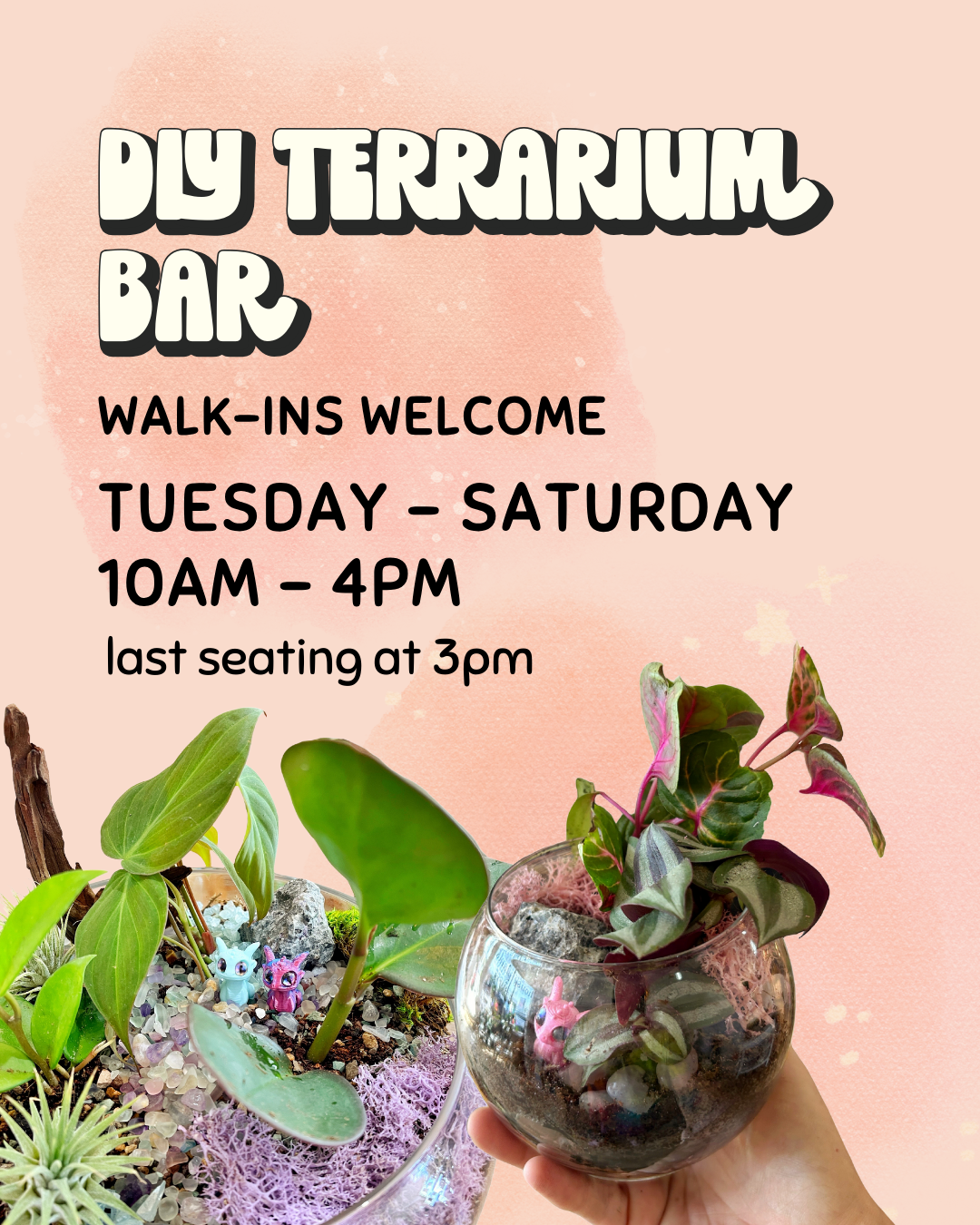 DIY Terrarium Bar