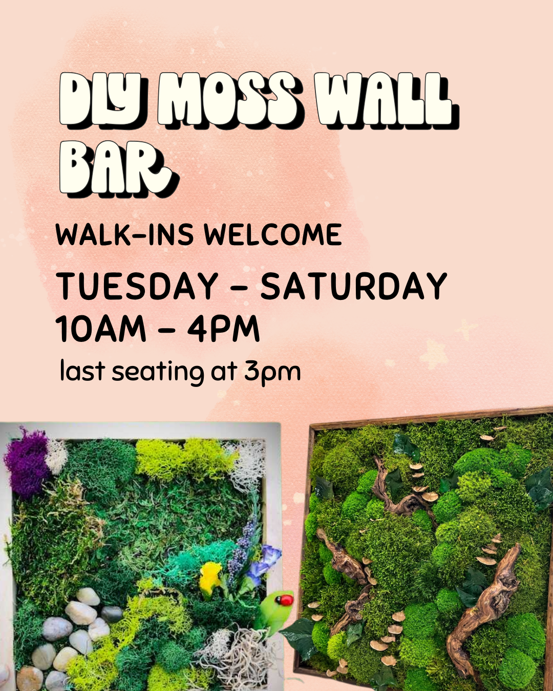 DIY Moss Wall Bar
