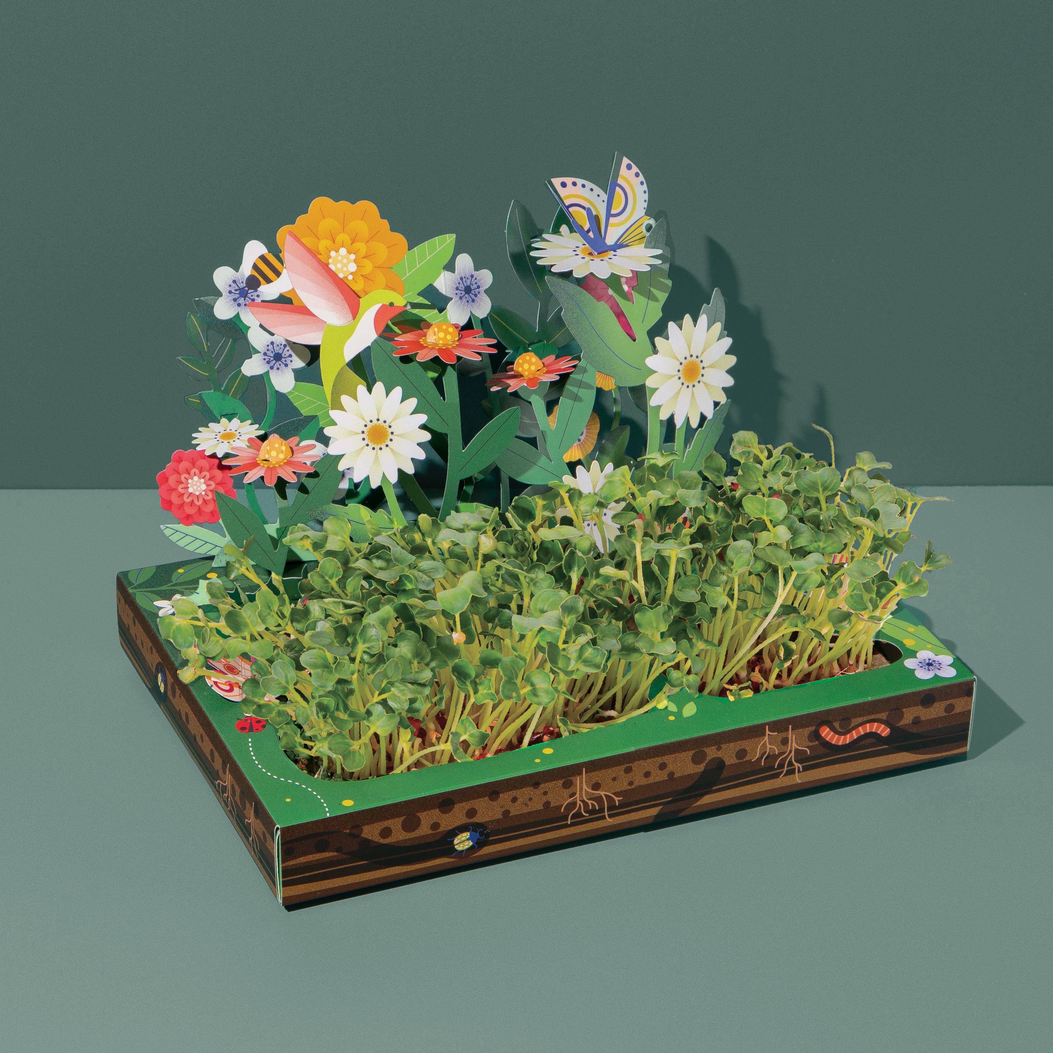 Microgreens DIY Kit: Pollinator Habitat