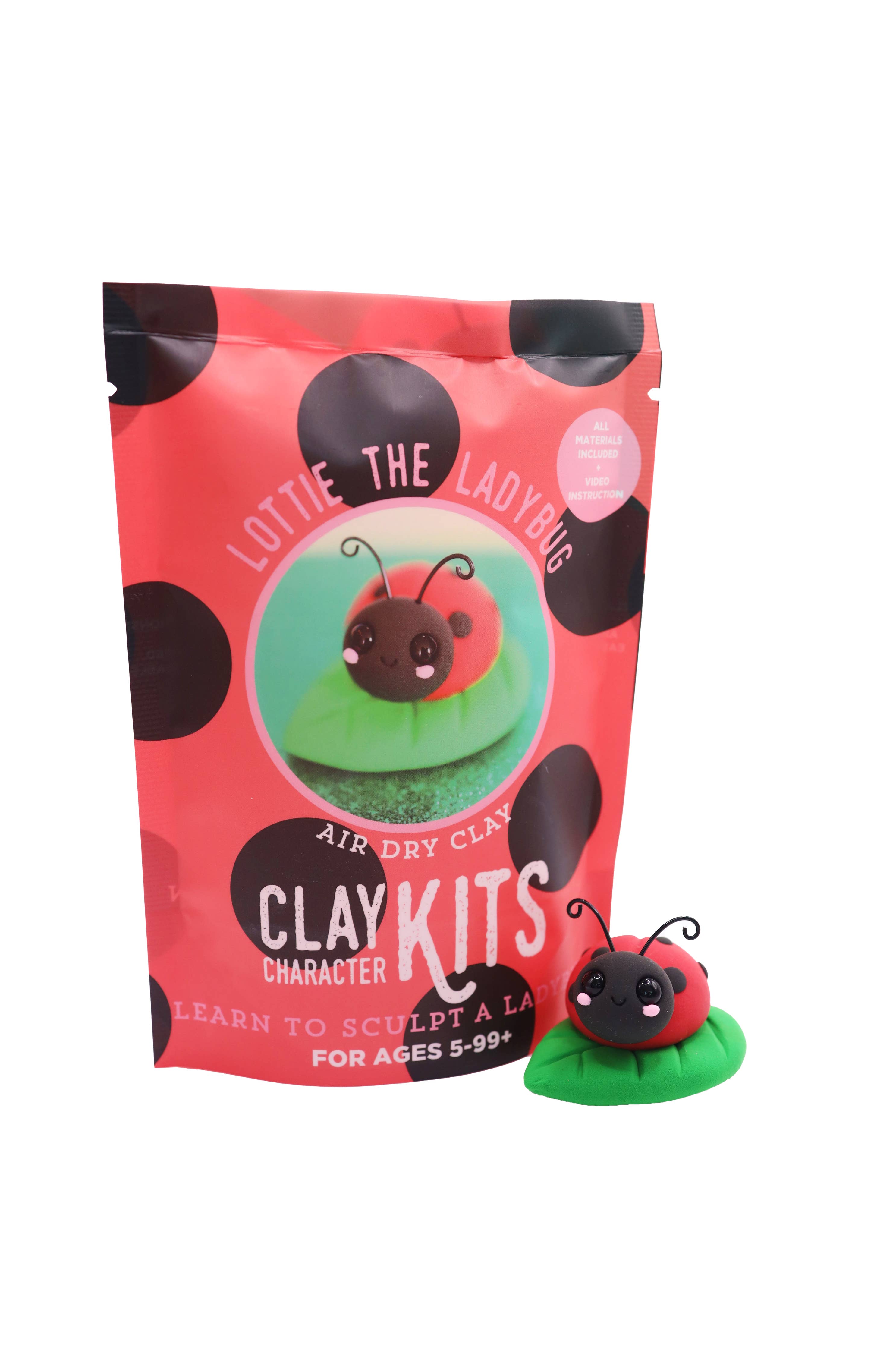 Lottie the Ladybug DIY Air-Dry Clay Kit