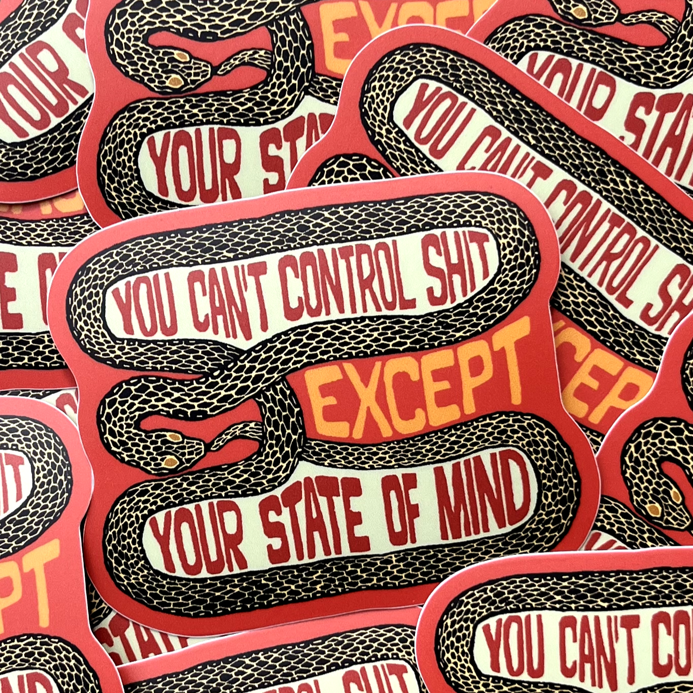 You Can’t Control Shit Snake Sticker