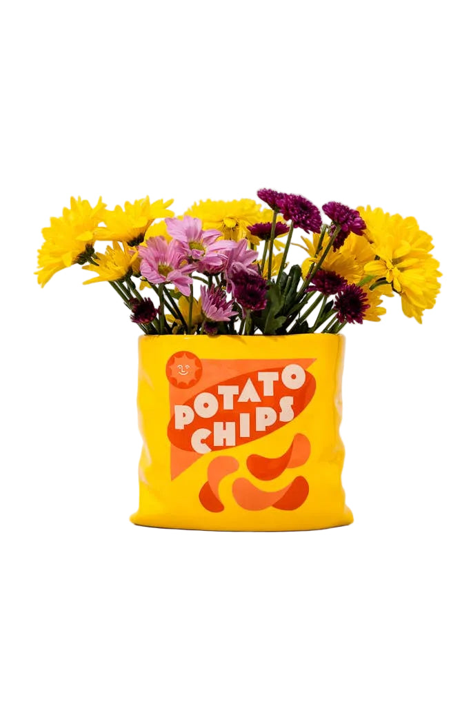 Ceramic Vase - Potato Chip Bag