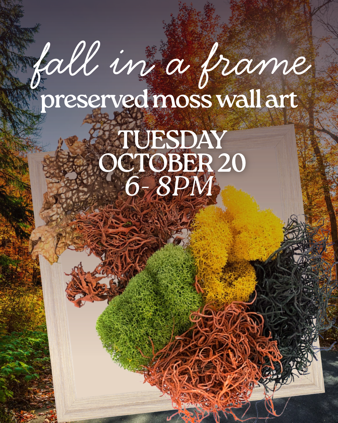 Fall in a Frame: Preserved Moss Wall Art