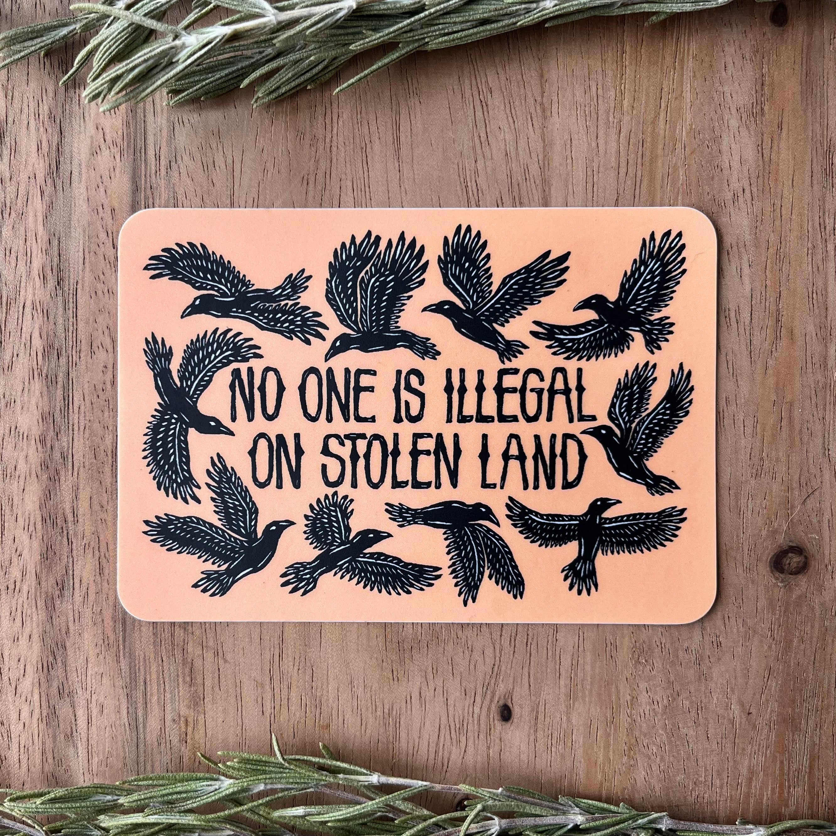 No One Is Illegal On Stolen Land Bird Sticker