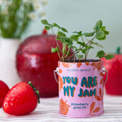 Strawberry Grow Kit 'You are My Jam'