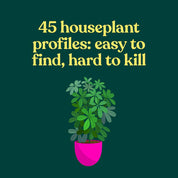The Green Dumb Guide to Houseplants – Easy, Hard-to-Kill Plants for Beginners