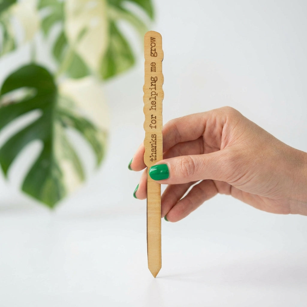 Wood Plant Stakes with Personality