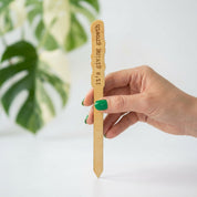 Wood Plant Stakes with Personality
