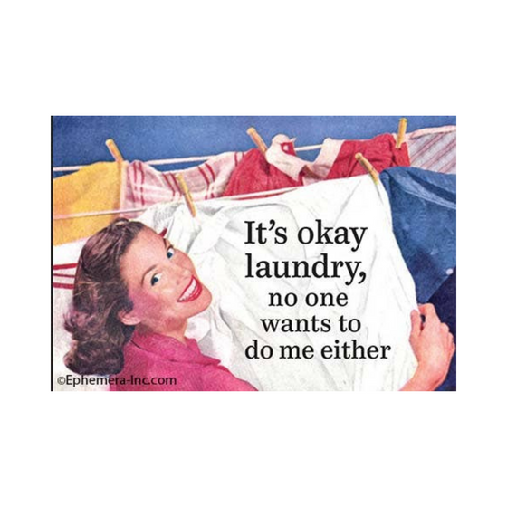 2" x 3" rectangular magnet with image of woman hanging up laundry that reads "It's okay laundry, no one wants to do me either."