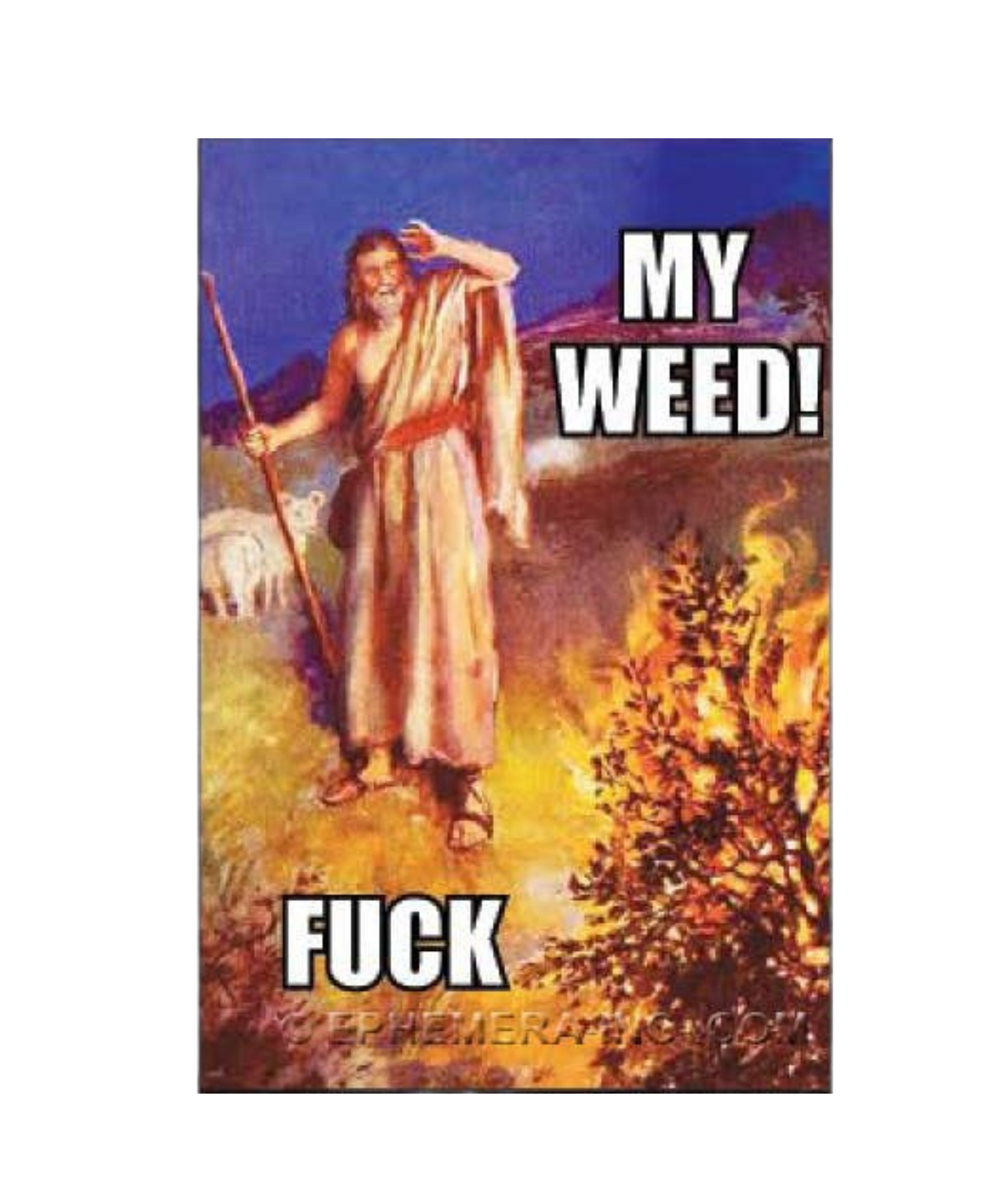jesus-weed-magnet.png