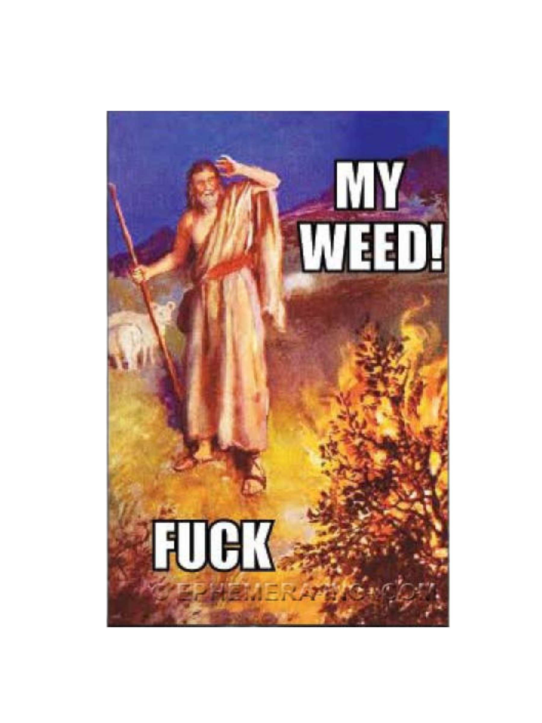 “My Weed! Fuck” Funny Retro Jesus Magnet