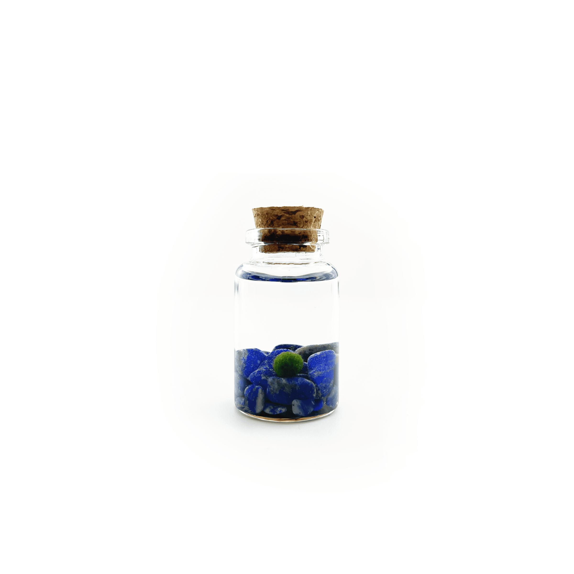 Moss Amigo Pet Plant - Nino Size with Lapis Lazuli