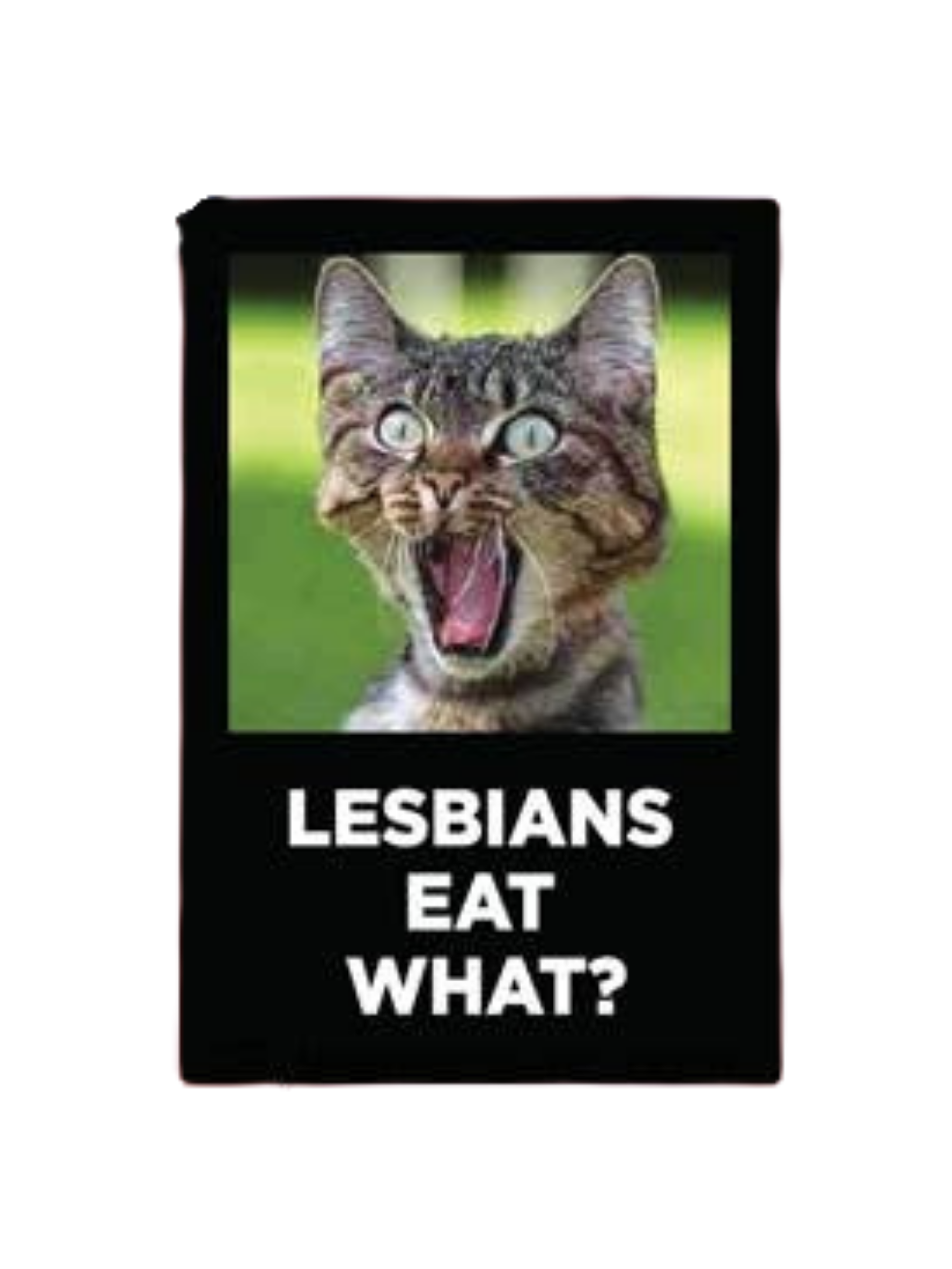 Lesbians Eat What? Funny Cat Magnet